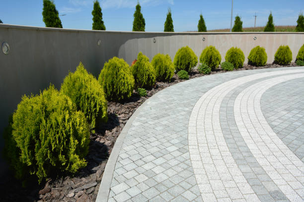 Best Professional Driveway Pavers  in Dorothy, NJ